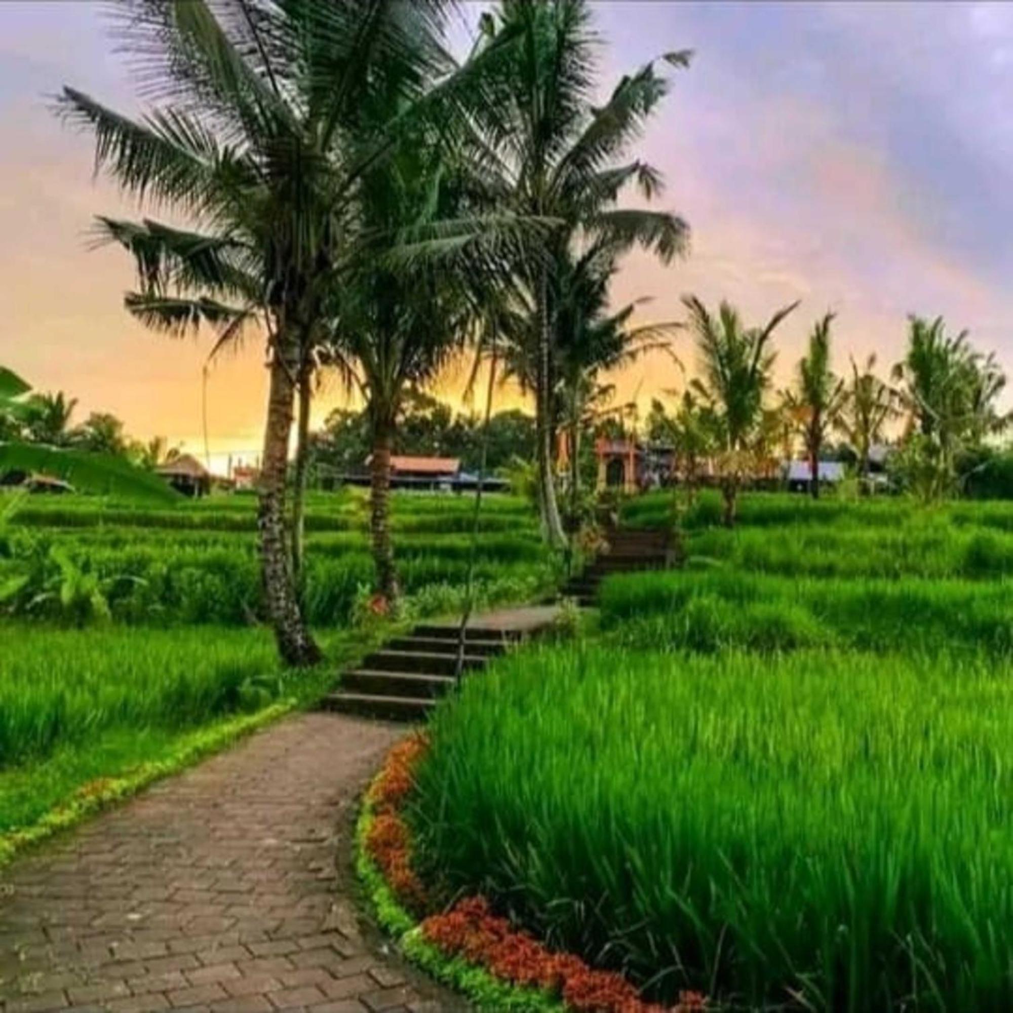 Pondok Kungkang Villa 2 อูบุด ภายนอก รูปภาพ